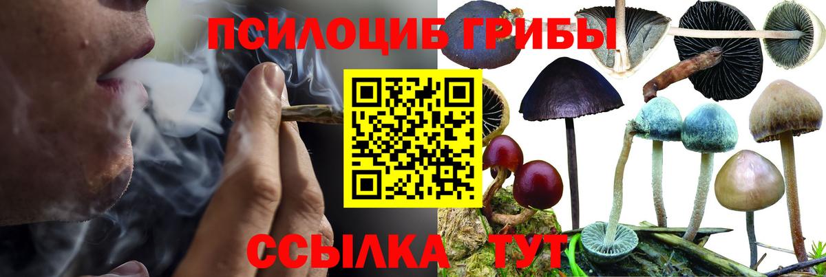 Псилоцибиновые грибы MAGIC MUSHROOMS Спасск-Дальний